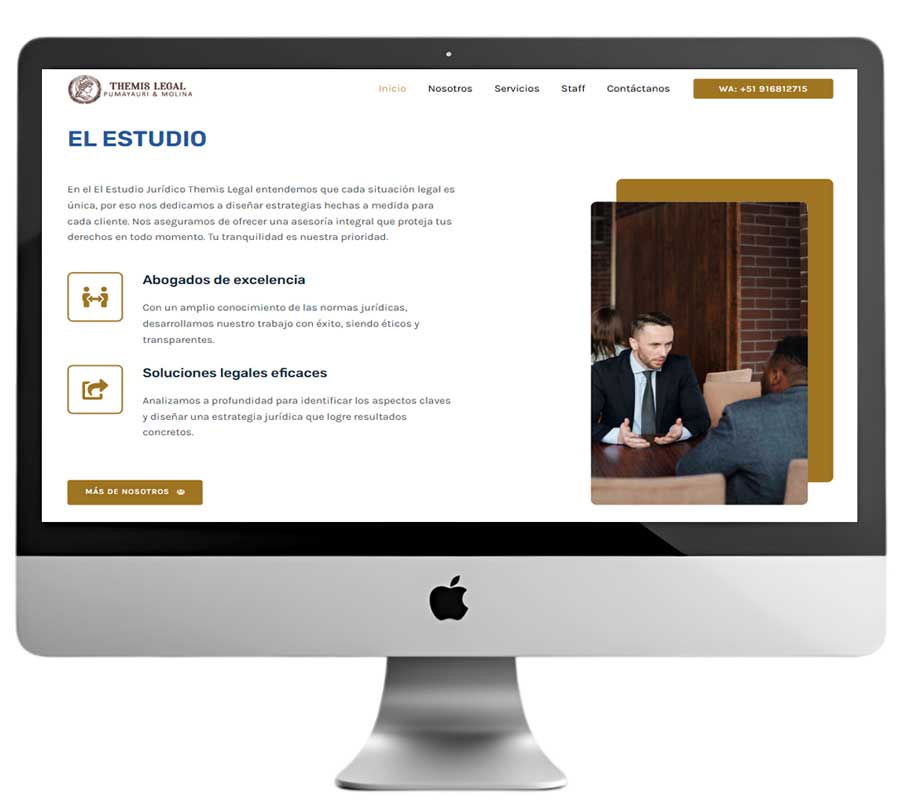Detalle-Portafolio-Vista-Escritorio---Themis-Legal-1